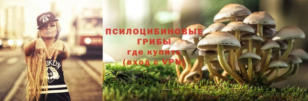 шишки Белоозёрский
