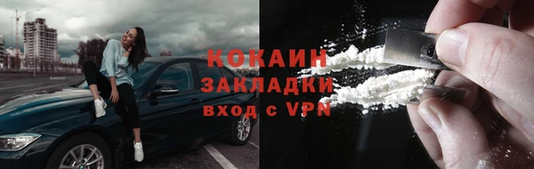 шишки Белоозёрский