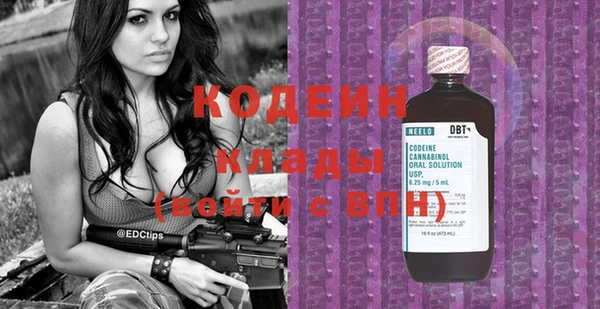 шишки Белоозёрский