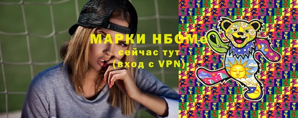 шишки Белоозёрский