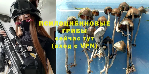 шишки Белоозёрский