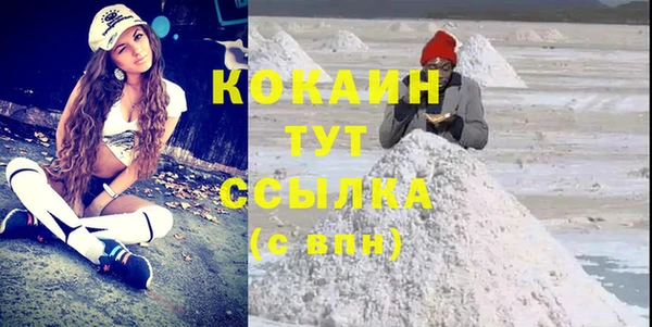 шишки Белоозёрский