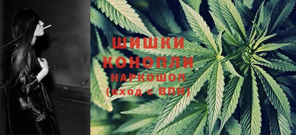 шишки Белоозёрский