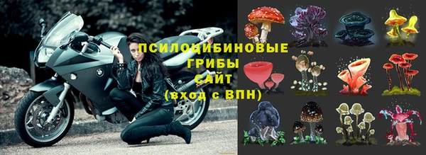 MDMA Беломорск