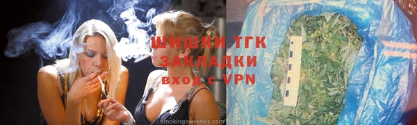 шишки Белоозёрский
